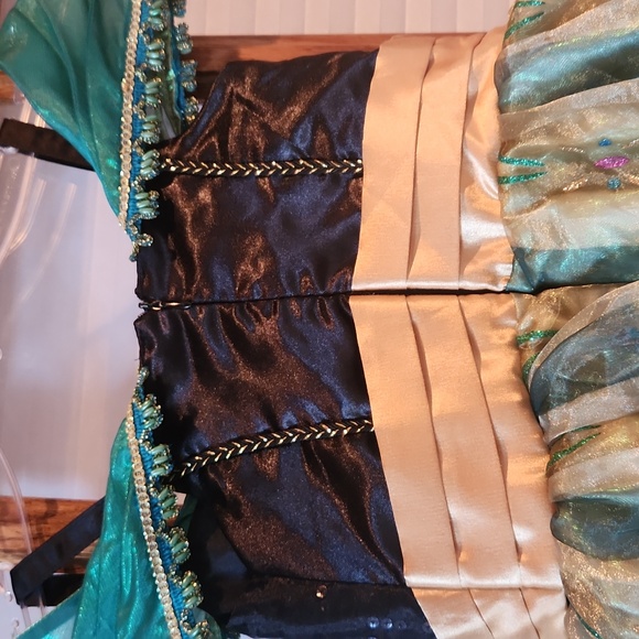 Disney's Princess Anna dress - Picture 8 of 12